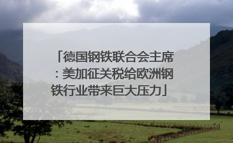 德国钢铁联合会主席：美加征关税给欧洲钢铁行业带来巨大压力