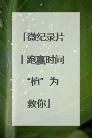 微纪录片丨跑赢时间 “植”为救你