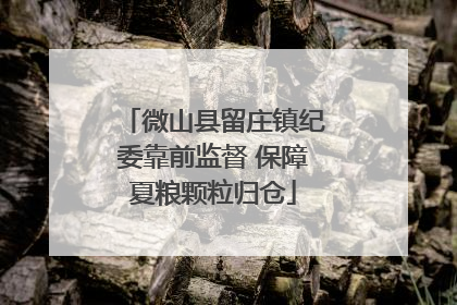微山县留庄镇纪委靠前监督 保障夏粮颗粒归仓