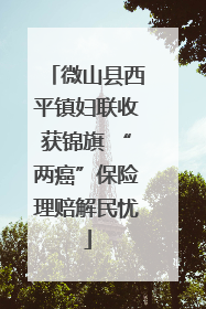 微山县西平镇妇联收获锦旗 “两癌”保险理赔解民忧