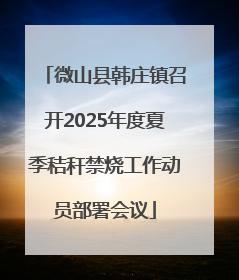微山县韩庄镇召开2025年度夏季秸秆禁烧工作动员部署会议