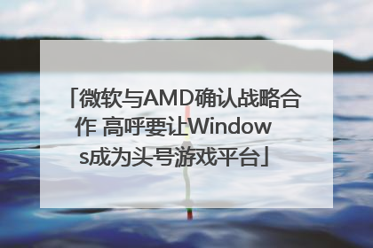 微软与AMD确认战略合作 高呼要让Windows成为头号游戏平台