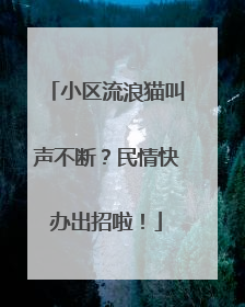 小区流浪猫叫声不断？民情快办出招啦！