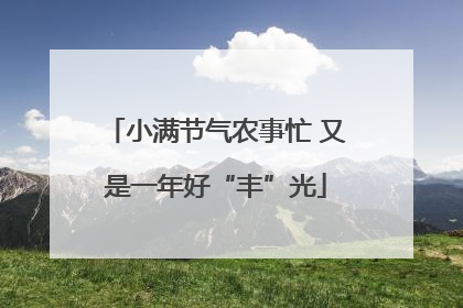 小满节气农事忙 又是一年好“丰”光