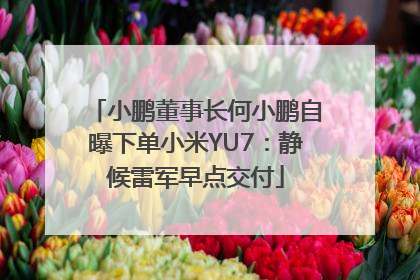 小鹏董事长何小鹏自曝下单小米YU7：静候雷军早点交付