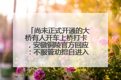 尚未正式开通的大桥有人开车上桥打卡，安徽铜陵官方回应：不服管劝擅自进入，已采取措施