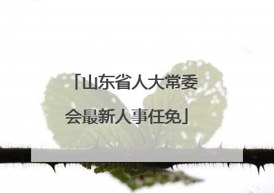山东省人大常委会最新人事任免