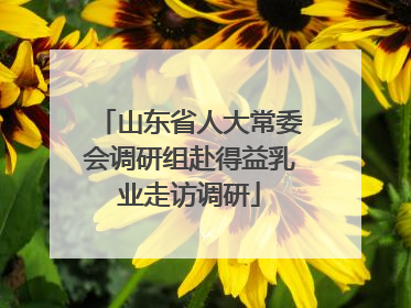 山东省人大常委会调研组赴得益乳业走访调研