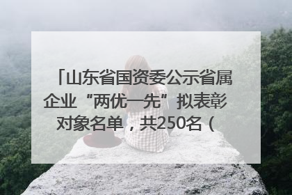 山东省国资委公示省属企业“两优一先”拟表彰对象名单，共250名（个）党员和党组织