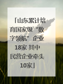 山东累计培育国家级“数字领航”企业18家 其中民营企业牵头10家
