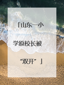 山东一小学原校长被“双开”