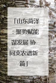山东菏泽：聚势赋能谋发展 协同支农谱新篇