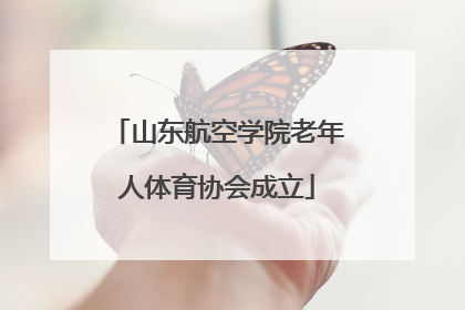 山东航空学院老年人体育协会成立
