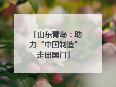 山东青岛：助力“中国制造”走出国门