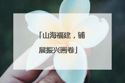 山海福建，铺展振兴画卷