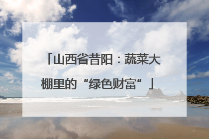 山西省昔阳：蔬菜大棚里的“绿色财富”