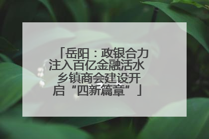 岳阳：政银合力注入百亿金融活水 乡镇商会建设开启“四新篇章”
