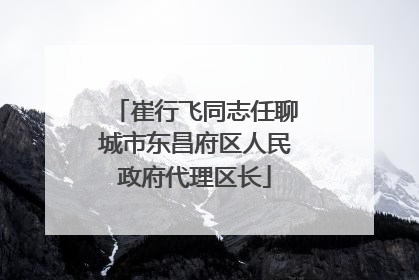 崔行飞同志任聊城市东昌府区人民政府代理区长