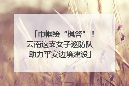 巾帼绘“枫警”！云南这支女子巡防队助力平安边境建设