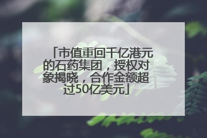 市值重回千亿港元的石药集团，授权对象揭晓，合作金额超过50亿美元