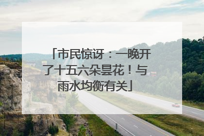 市民惊讶：一晚开了十五六朵昙花！与雨水均衡有关