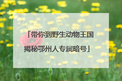 带你到野生动物王国揭秘鄂州人专属暗号