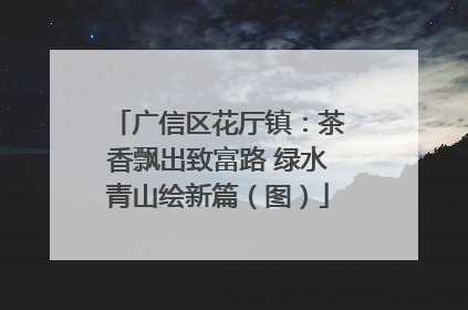 广信区花厅镇：茶香飘出致富路 绿水青山绘新篇（图）