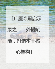 广厦夺冠启示录之二：外援赋能，打造本土核心架构