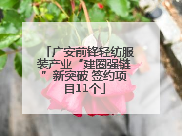 广安前锋轻纺服装产业“建圈强链”新突破 签约项目11个