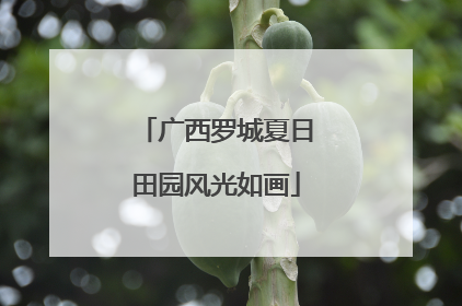 广西罗城夏日田园风光如画