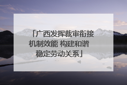 广西发挥裁审衔接机制效能 构建和谐稳定劳动关系