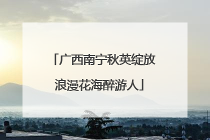 广西南宁秋英绽放 浪漫花海醉游人