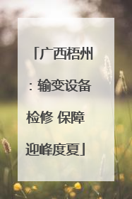 广西梧州：输变设备检修 保障迎峰度夏