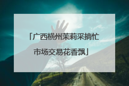 广西横州茉莉采摘忙 市场交易花香飘