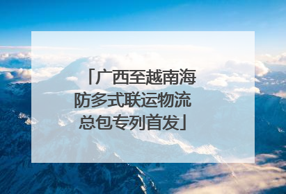 广西至越南海防多式联运物流总包专列首发