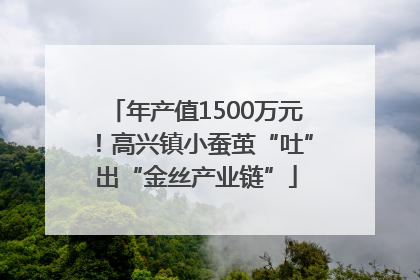 年产值1500万元！高兴镇小蚕茧“吐”出“金丝产业链”