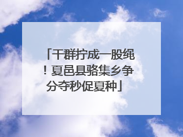 干群拧成一股绳！夏邑县骆集乡争分夺秒促夏种