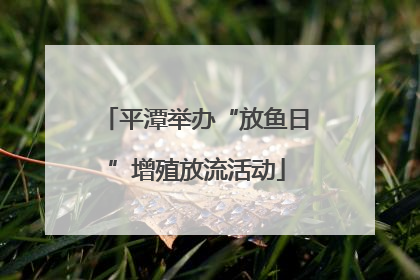 平潭举办“放鱼日”增殖放流活动