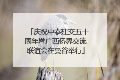 庆祝中泰建交五十周年暨广西侨界交流联谊会在曼谷举行