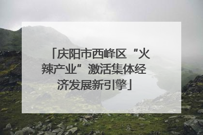 庆阳市西峰区“火辣产业”激活集体经济发展新引擎
