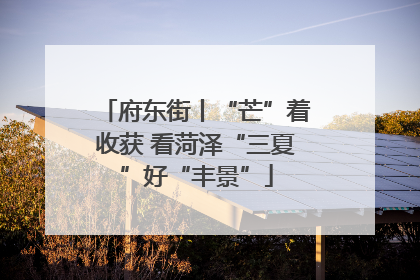 府东街丨“芒”着收获 看菏泽“三夏”好“丰景”