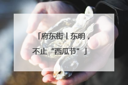 府东街丨东明，不止“西瓜节”