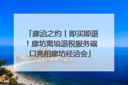 廊洽之约丨即买即退!廊坊离境退税服务端口亮相廊坊经洽会
