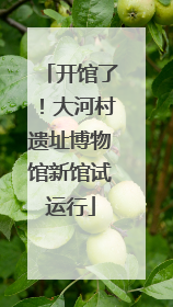 开馆了！大河村遗址博物馆新馆试运行