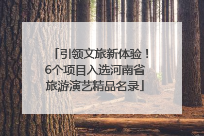引领文旅新体验！6个项目入选河南省旅游演艺精品名录