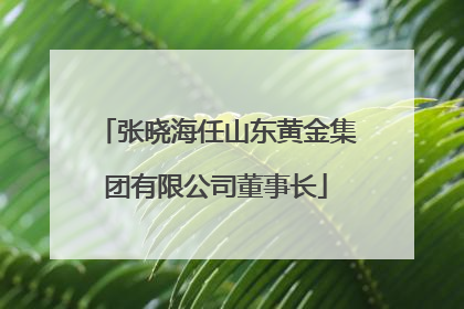 张晓海任山东黄金集团有限公司董事长