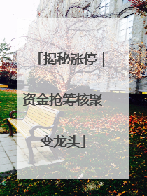 揭秘涨停｜资金抢筹核聚变龙头