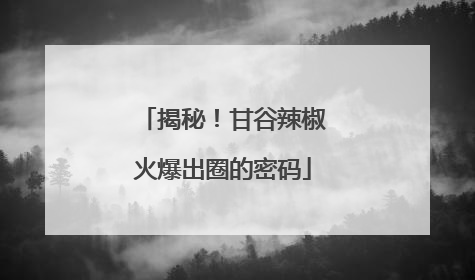 揭秘！甘谷辣椒火爆出圈的密码