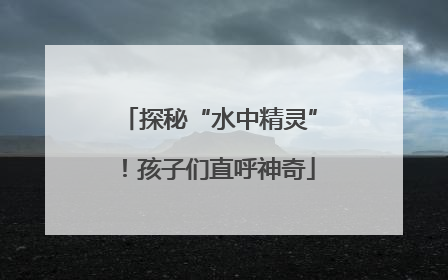 探秘“水中精灵”！孩子们直呼神奇