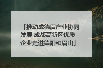推动成德眉产业协同发展 成都高新区优质企业走进德阳和眉山